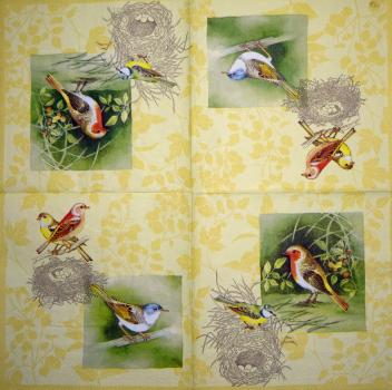 064 Vögel - 3-lagig (gelb) - Ihr